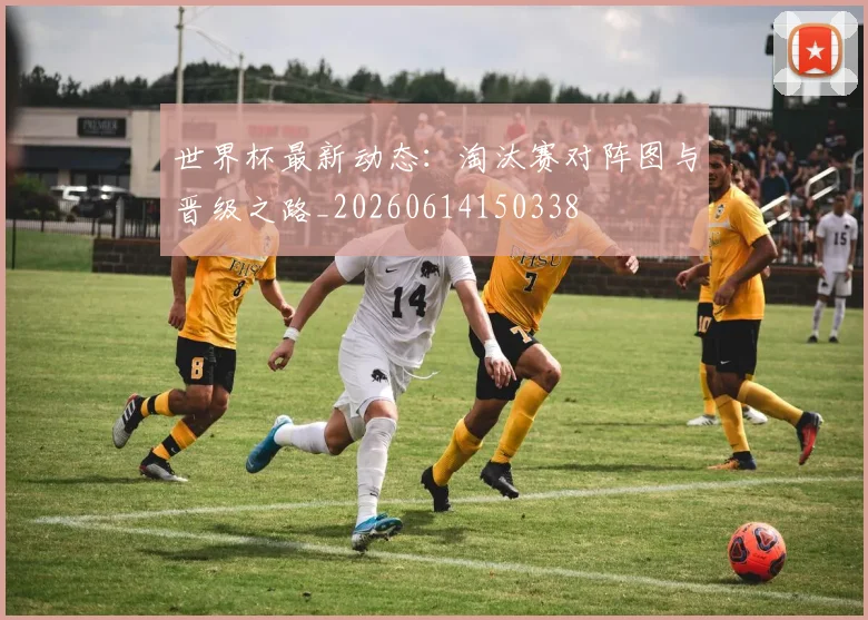 世界杯最新动态：淘汰赛对阵图与晋级之路_20260614150338